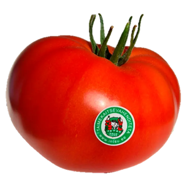 Intsu tomat I klass kg