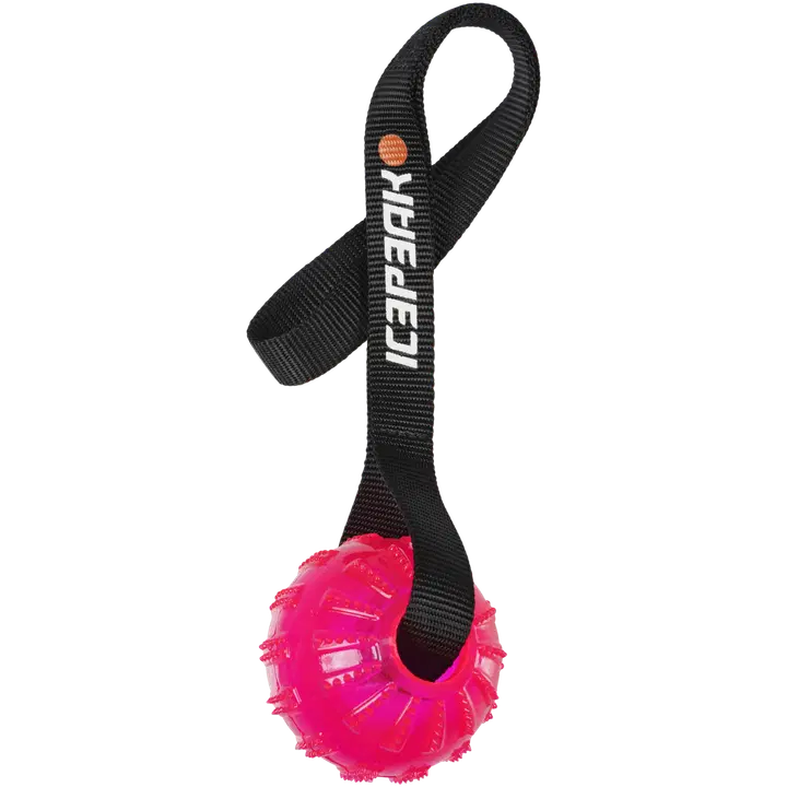 Icepeak Pet geelipallo kädensijalla pinkki