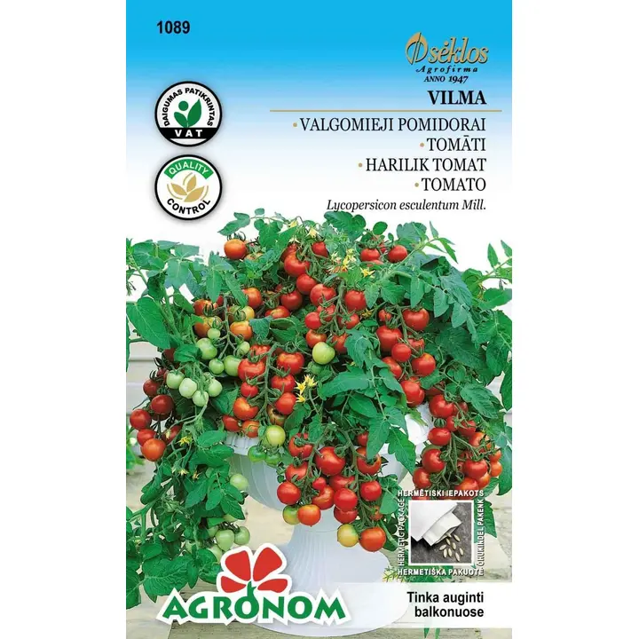 Tomat vilma mini - solanum lycopersicum l.