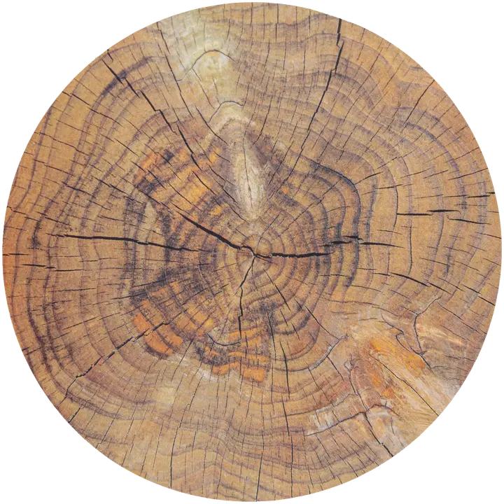 House kattaustabletti Wood log 38 cm, ruskea
