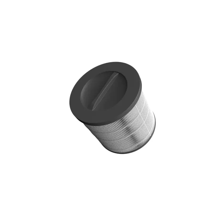 Filter õhupuhastajale Lifa Air Lax200