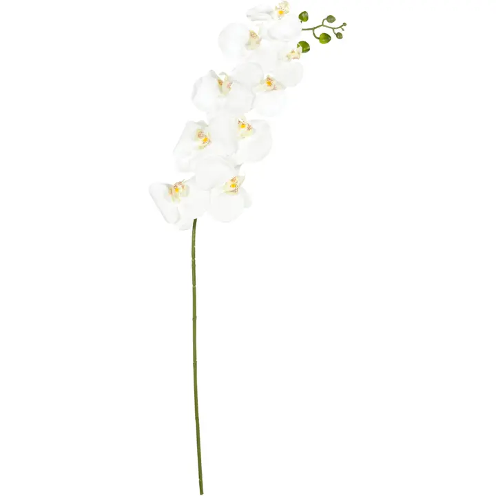 Teko-oksa orkidea 92 cm