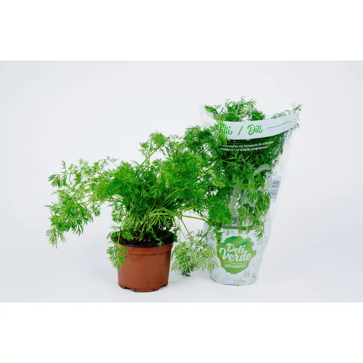 Deliverde tilli