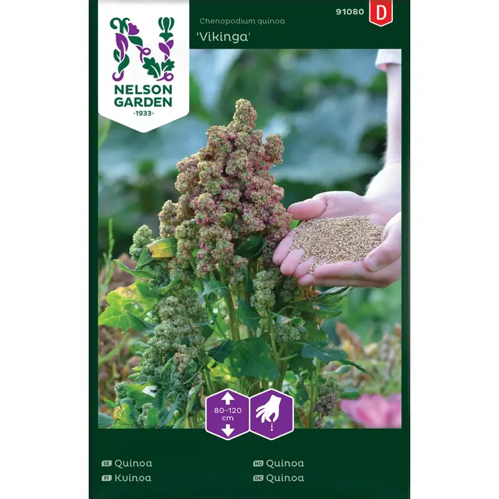 91080 kinoa