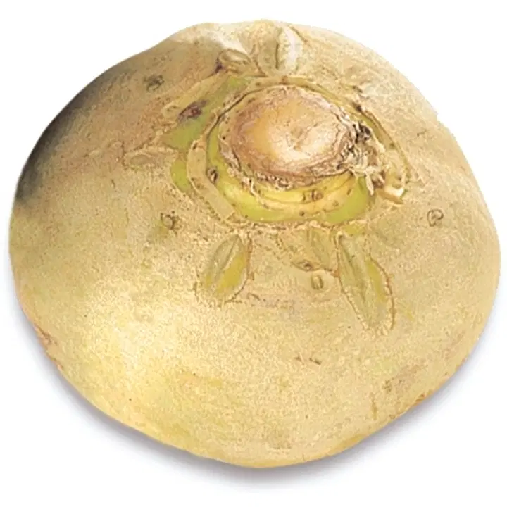 Lanttu 2kg