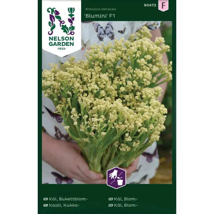 90472 lillkapsas blumini f1
