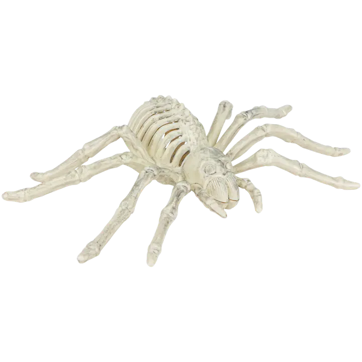 Halloweeni skelett ämblik