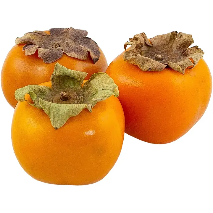 Persimon
