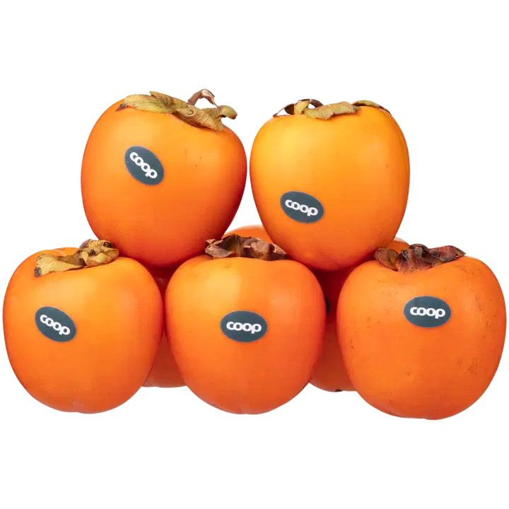 Coop Persimon