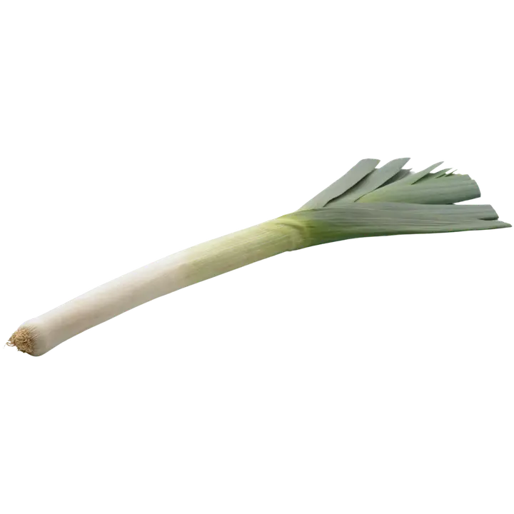 Purjo
