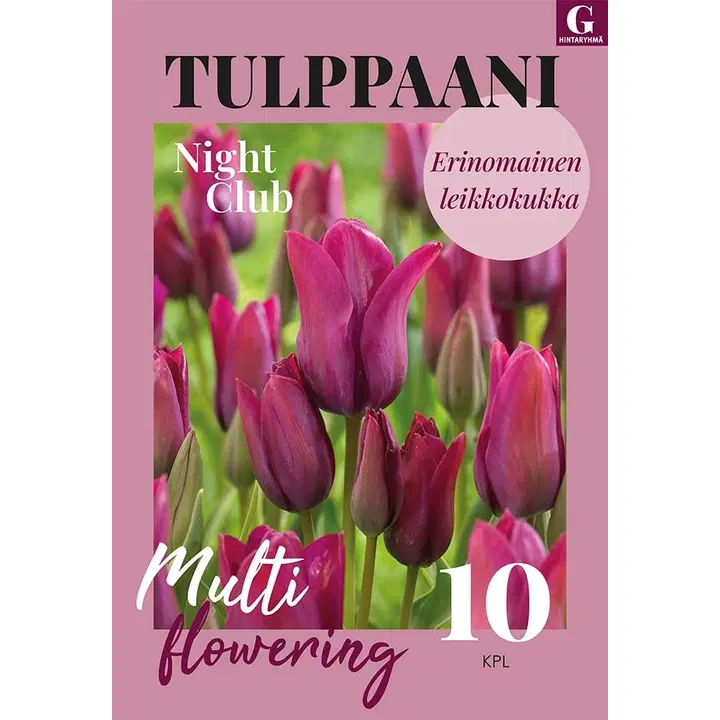 Tulppaani, Tulipa Night Club 11/12, 10kpl