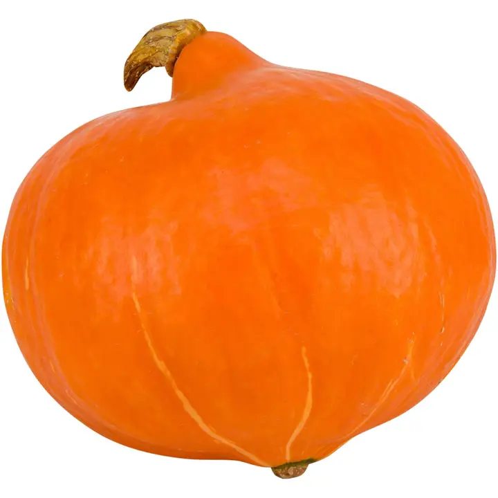 Kurpitsa Luomu