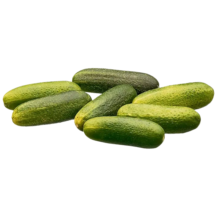 Myrttinen Valkosipulisuolakurkku