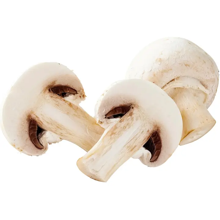 Jumbo herkkusieni irto