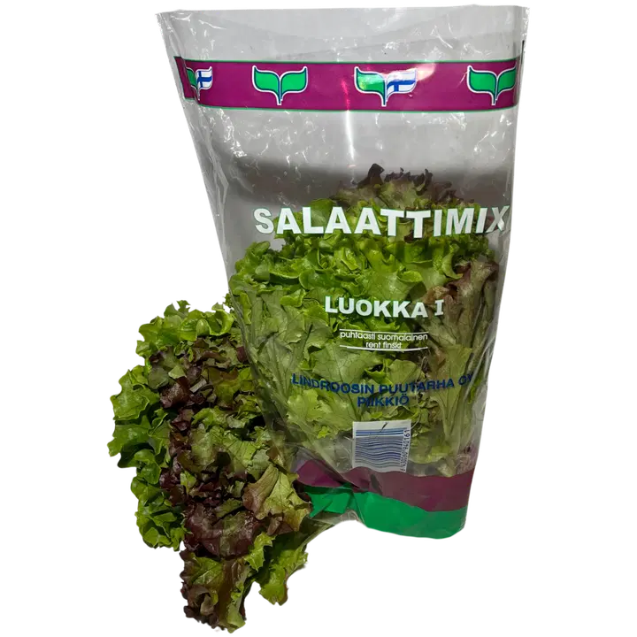 Lindroosin Puutarha salaattimix ruukussa 115 g