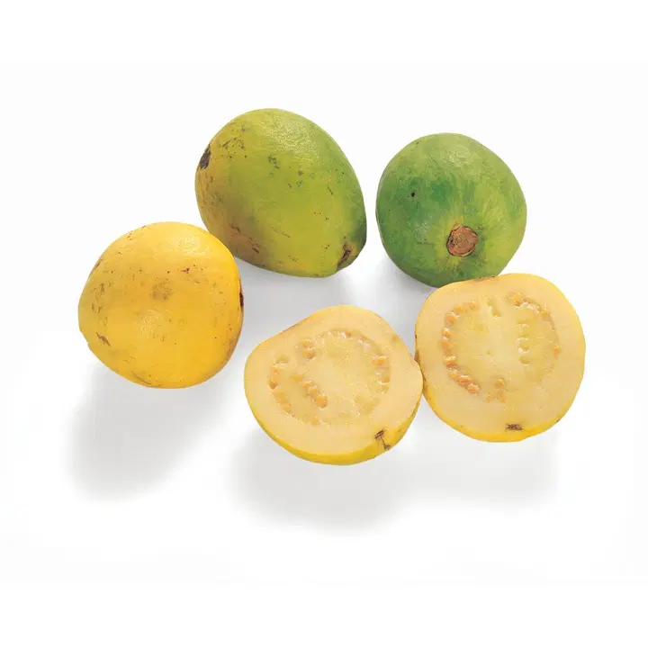 Satotukku guava