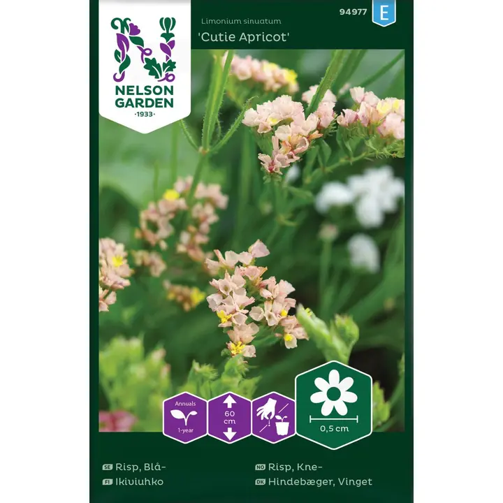 94977 igihaljas cutie apricot