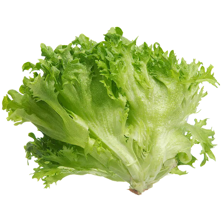 Jääsalaattipussi
