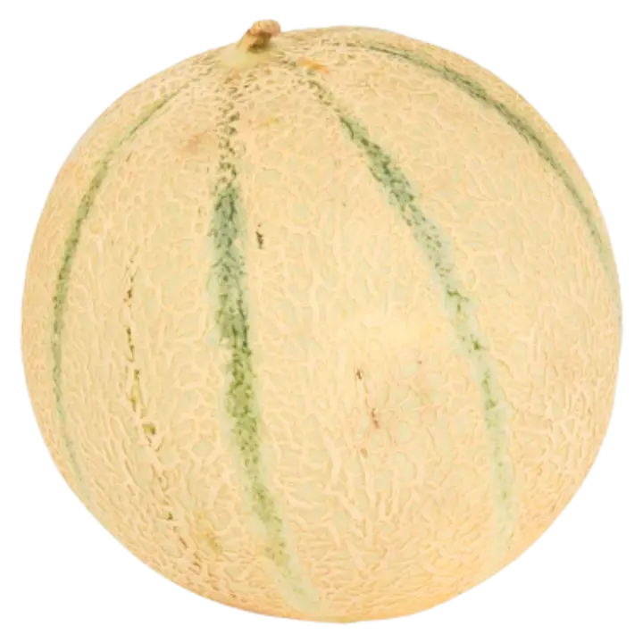 Melon Cantaloupe
