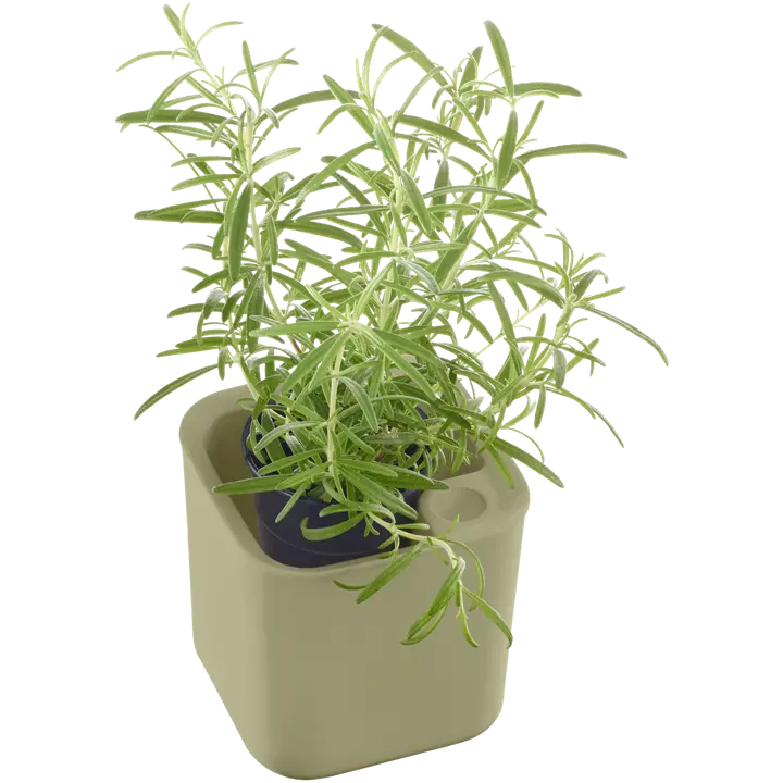 Ürdipott 12x12cm oliiv