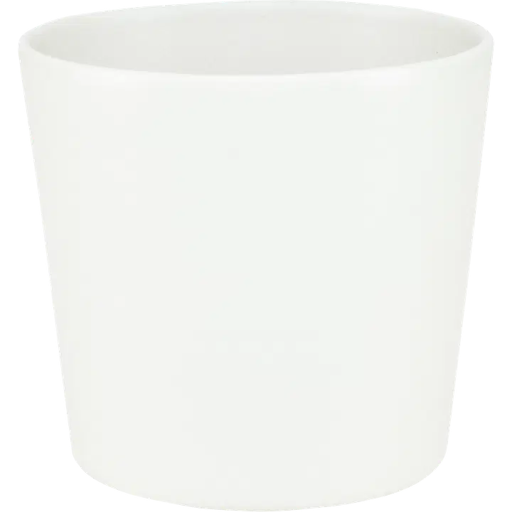 House suojaruukku Anita 11 x 12 cm