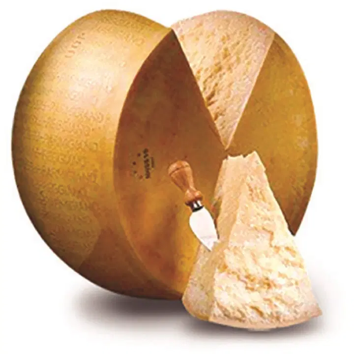 Riitan Herkku Parmigiano Reggiano n.4,5kg