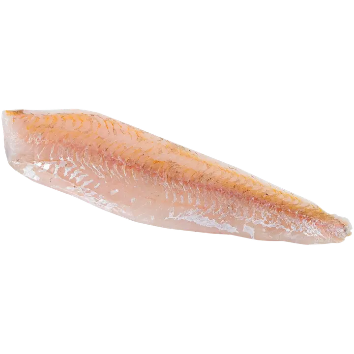 Salpausselän Kala kuhafilee