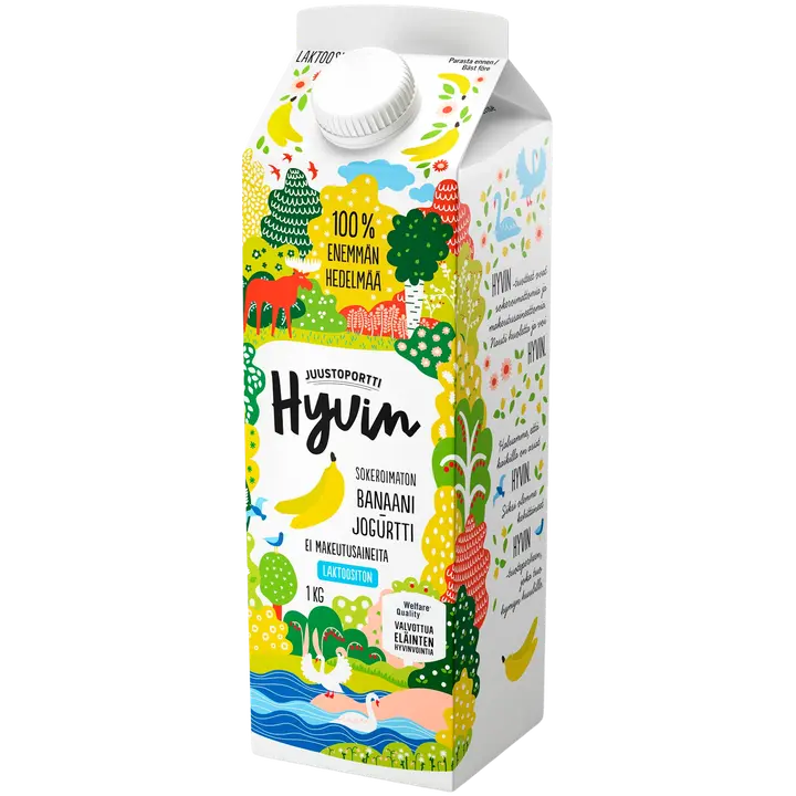 Juustoportti Hyvin jogurtti 1 kg banaani laktoositon