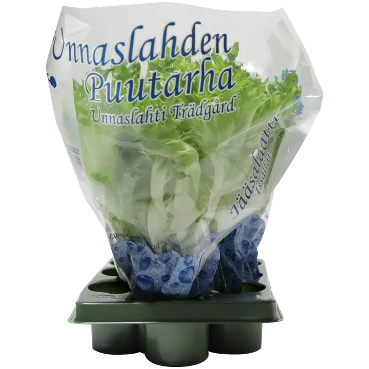 Unnaslahti jääsalaatti 100 g