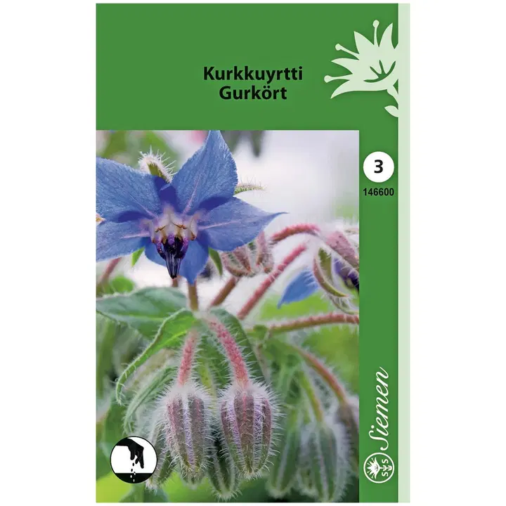Kurkkuyrtti (Borago) 1-V