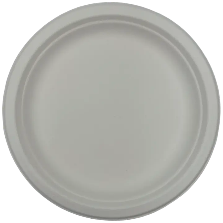 Spen Lautanen 26,2cm 10kpl sokeriruoko valk. Bio