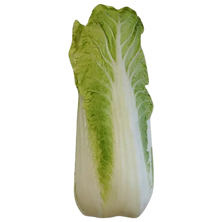 Hiinakapsas