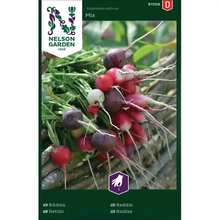 91109 redis purp. pink, albena, zlata