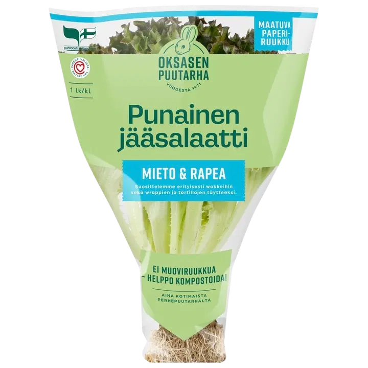 Punainen Jääsalaattiruukku