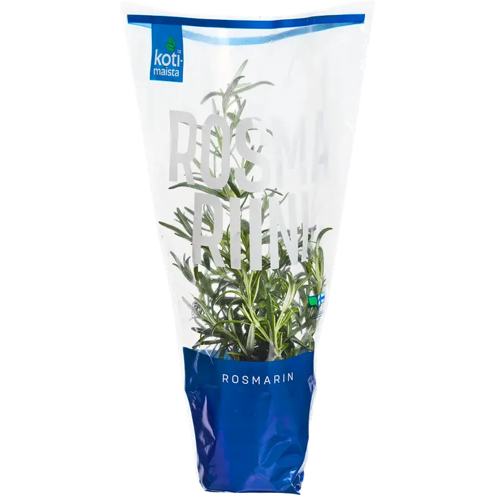 Kotimaista rosmariini