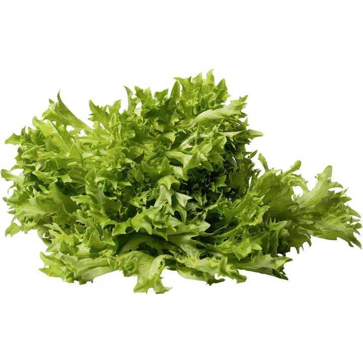 Hortiherttua friseesalaatti