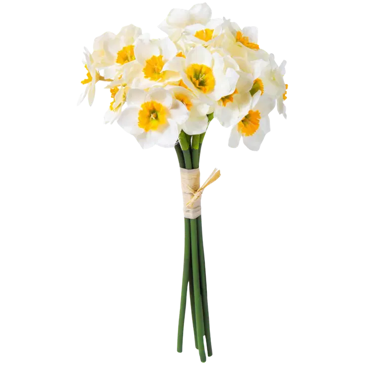 Nartsissikimp  40 cm