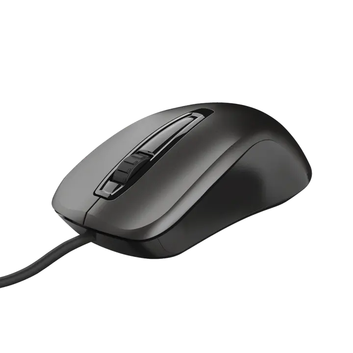 Arvutihiir Trust Carve USB