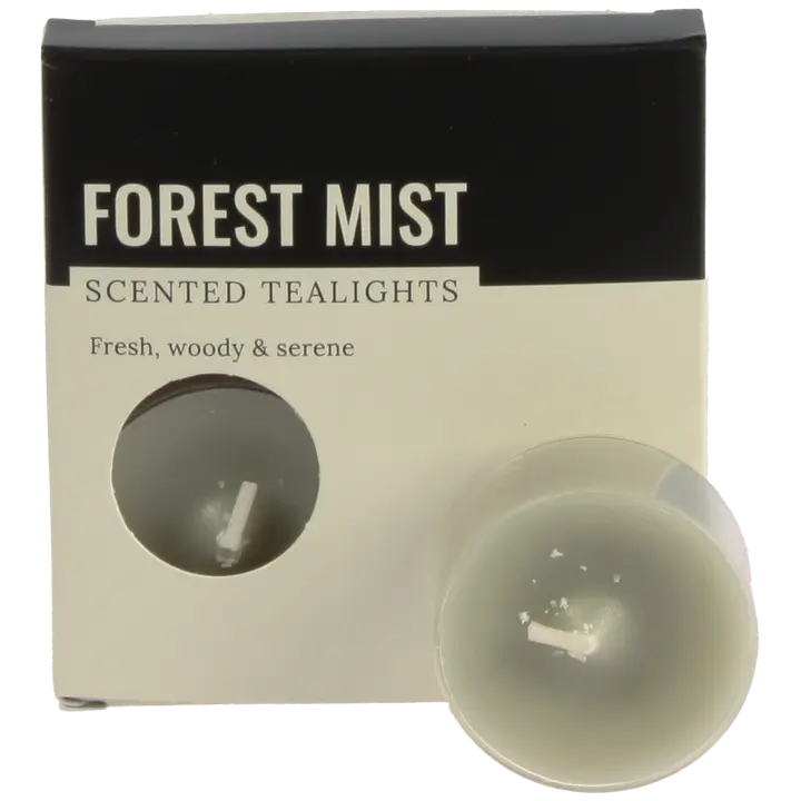 Tuoksulämpökynttilä 4kpl,  forest mist