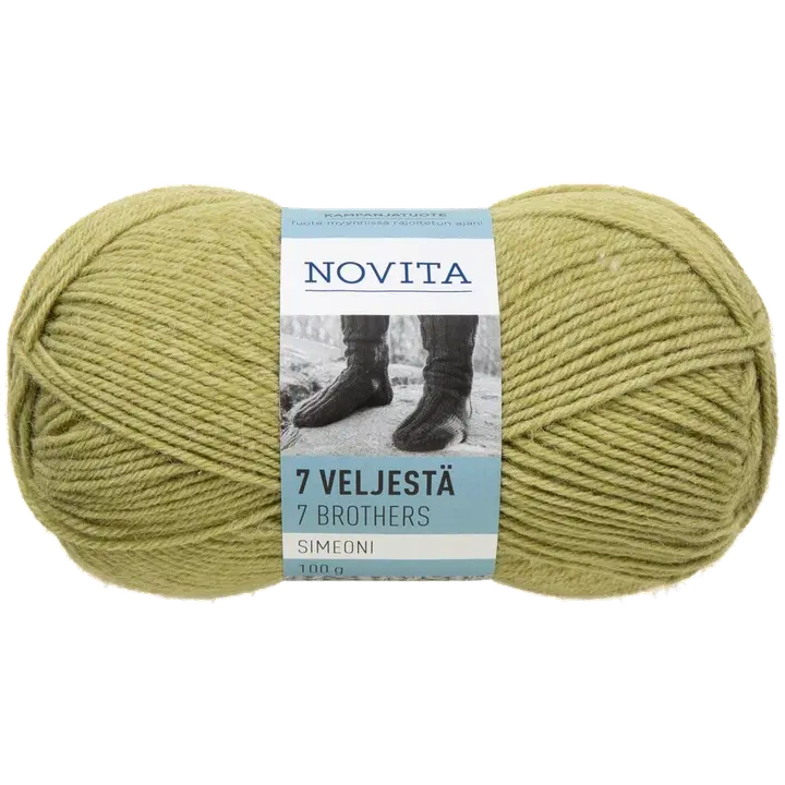 Novita 7 Veljestä lanka Simeoni 100g salvia 031 yarn