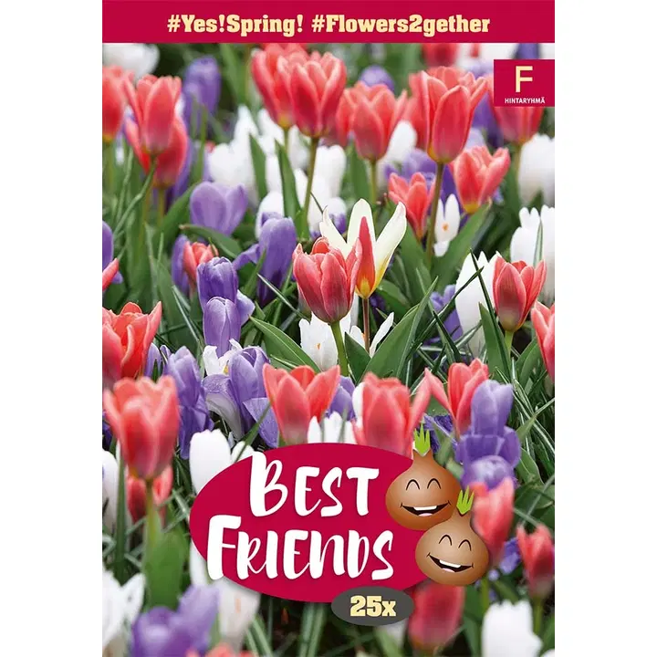 Tulppaani/Krookussekoitus, Tulipa/Crocusmix Yes! Spring!, 25kpl