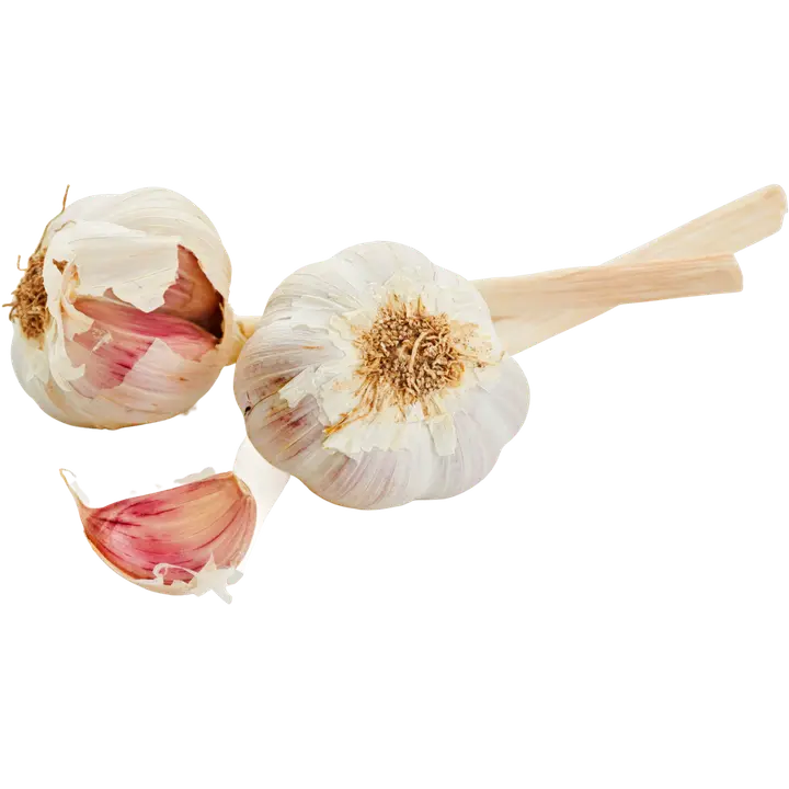 Valkosipuli luomu