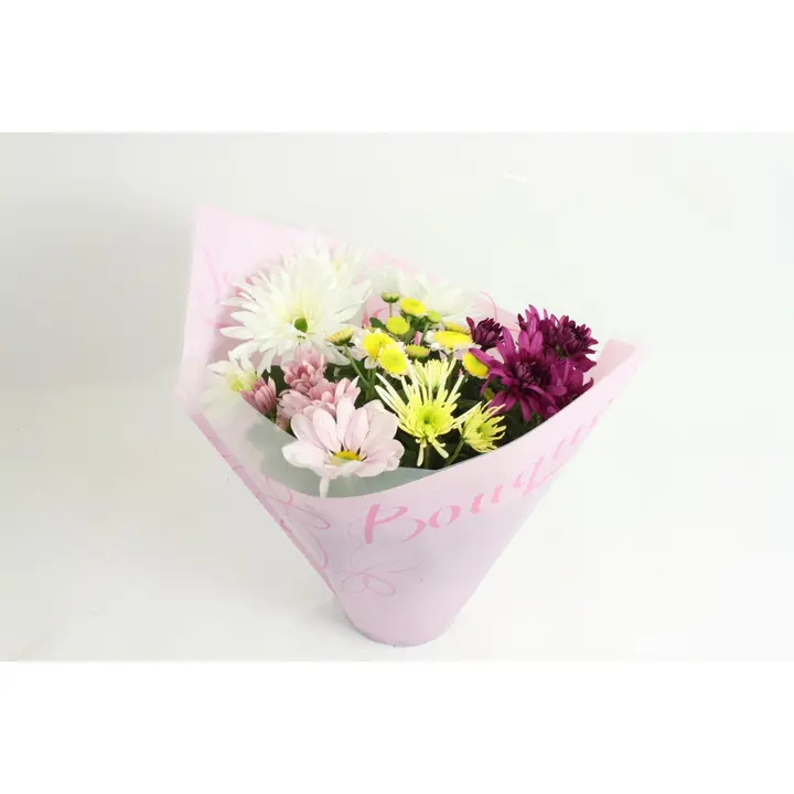 Krysanteemi Bouquet, ruukkukrysanteemi, jossa samassa ruukussa useampi erilainen ja värinen krysanteemi, värilajitelma, ruukku 14cm