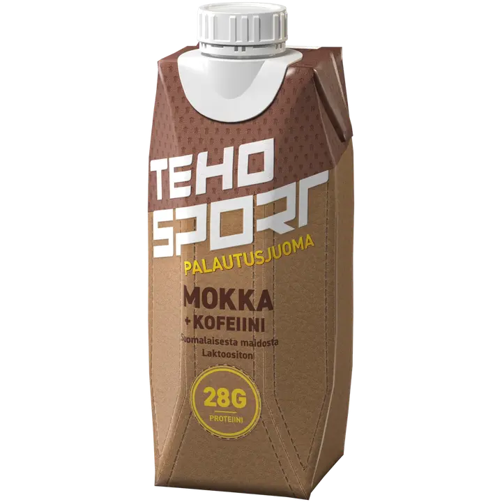 Teho Sport Mokka+kofeiini palautusjuoma 0,33 l