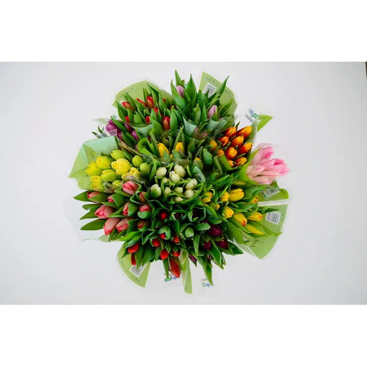 Huiskula tulppaaninippu 10 oksaa