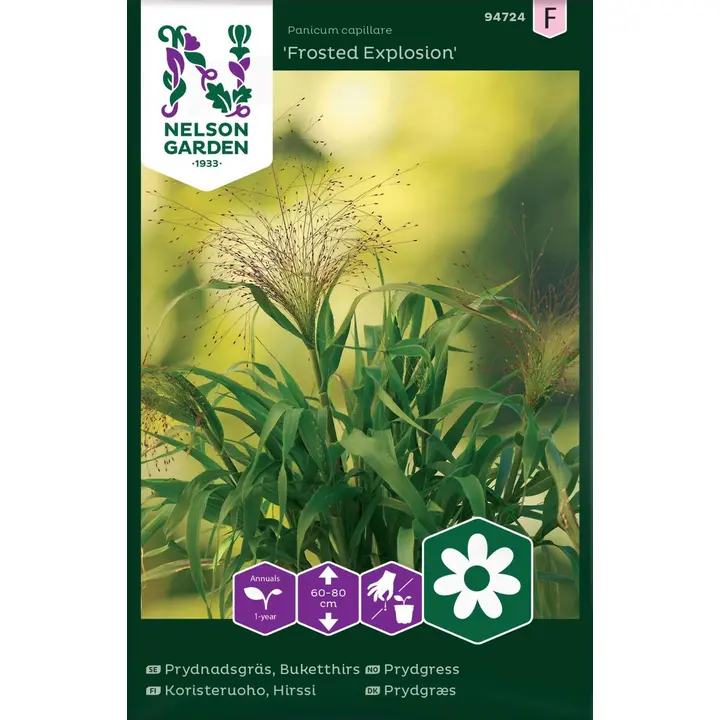 Nelson Garden Siemen Koristeruoho, Hirssi, Frosted Explosion
