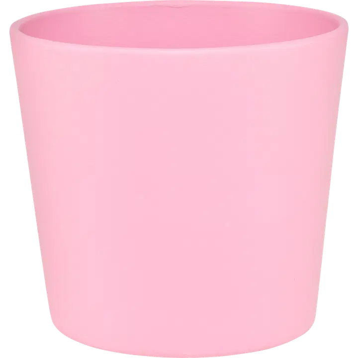 House suojaruukku Anita 11 x 12 cm