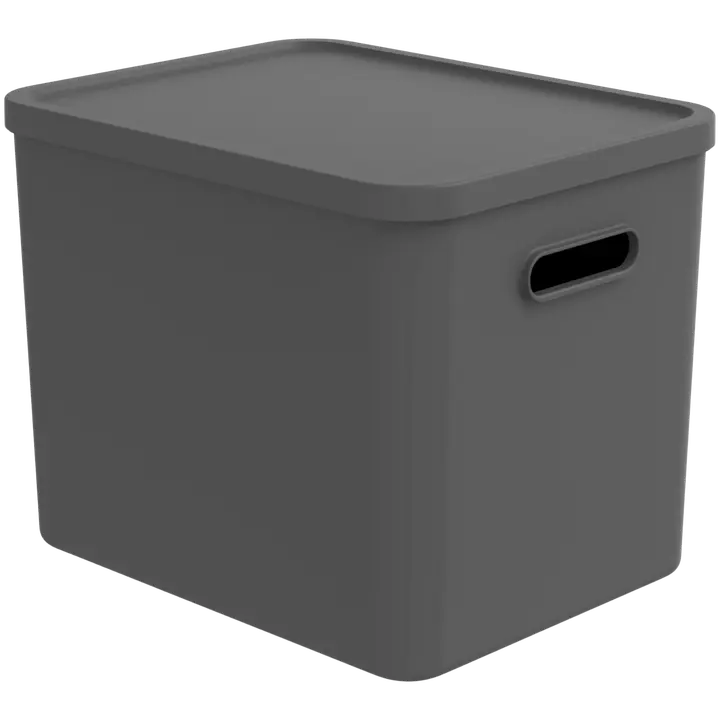 Rotho säilytyslaatikko Albula Multibox 27 l C4 harmaa