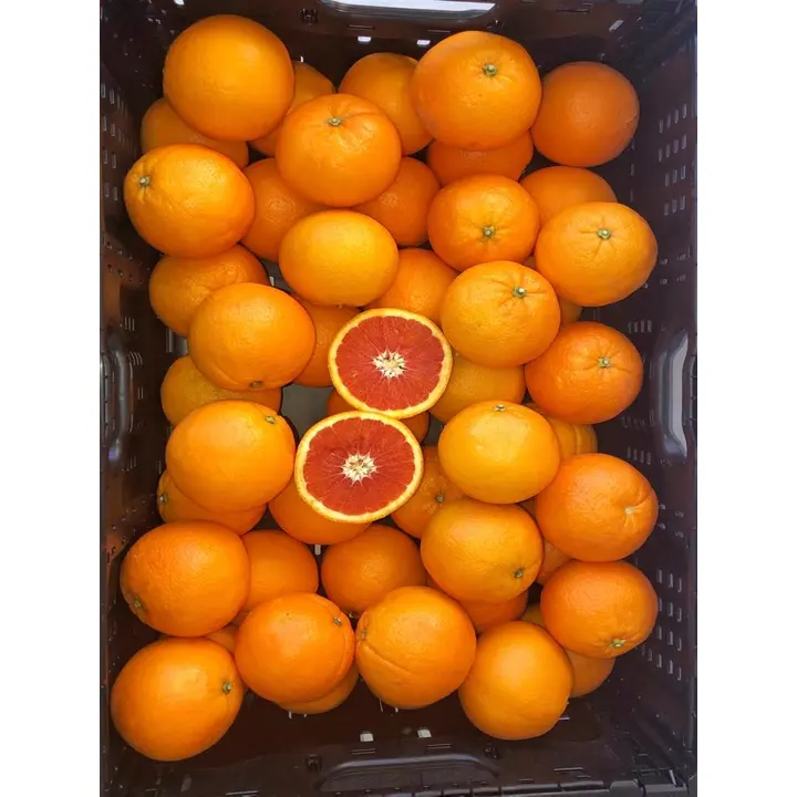 Puoliveriappelsiini Cara Cara