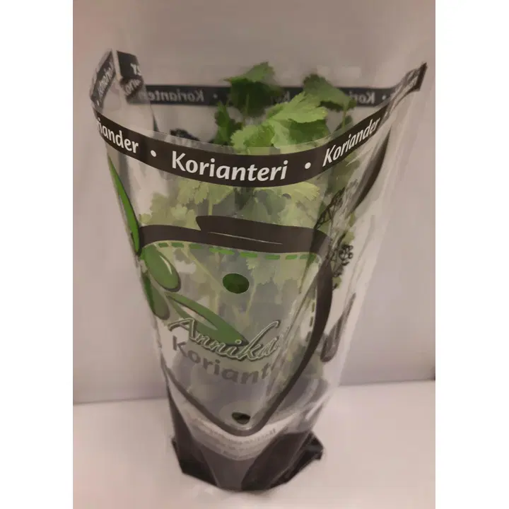 Annikan Korianderi ruukku